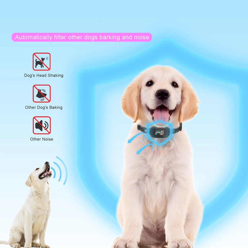 Antibellhalsband für Hunde