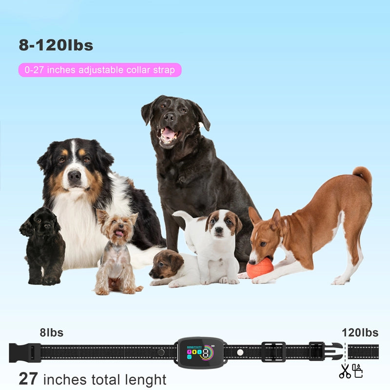 Antibellhalsband für Hunde
